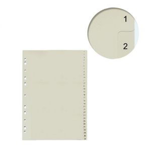Separador Datazone A4 Plástico 1/31 Numerada  (SA)