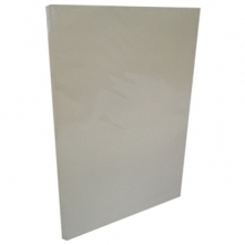 Carpeta Plastificada Ja S/Gusano Beige (SA)