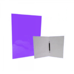 Carpeta Plastificada CI con Gusano Morado