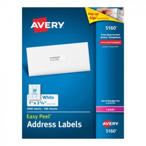 Etiqueta Avery Laser 25x67 Blanca 100hjs  (SA)